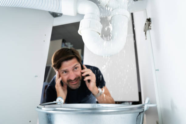 Best Local Plumber Services  in White City, FL